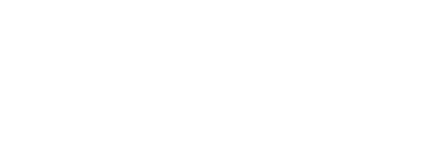Dra. Camila De Angelis, Advogada